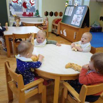 IMG_20211206_083009_resized_20220107_011918767 (Medium)